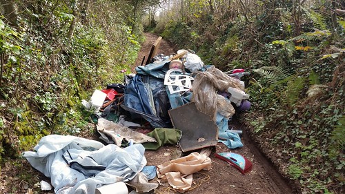 Flickr C'était la pointe de la mouche que nous avons trouvée hier et filmée pour les nouvelles de la BBC. Ces scumbags n'ont vraiment pas d'amis dans le monde ... tout le monde les déteste vraiment. Un gars à la radio a suggéré de les tirer. ;article de la veille à partir de 30 minutes dans: <a rel=