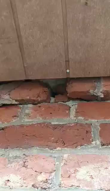 , nid de; 1 ère intervention du jour sur la commune de Jenlain, pour une destruction d’un