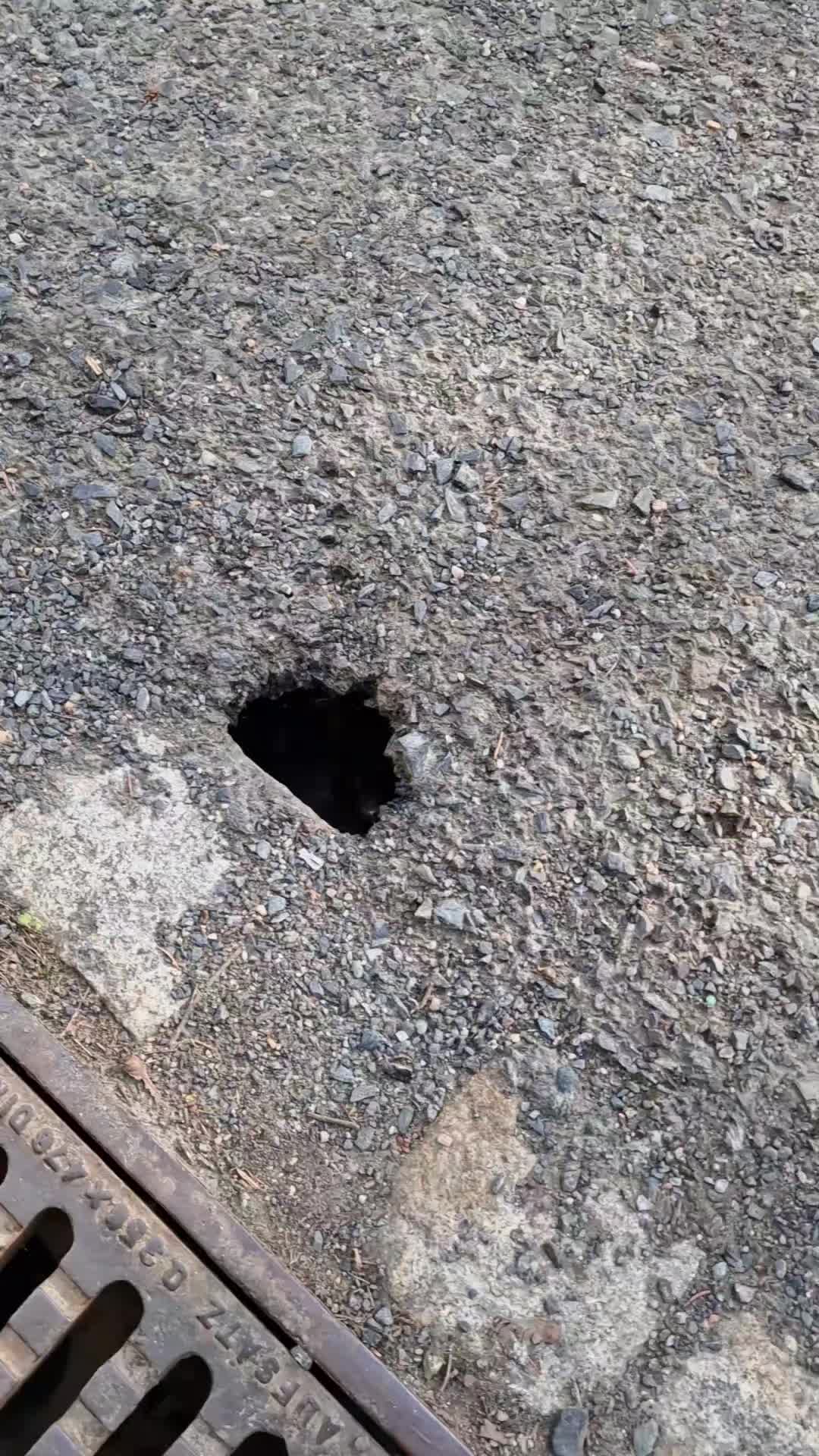 , schlagloch; Je viens de trouver le chemin vers les enfers