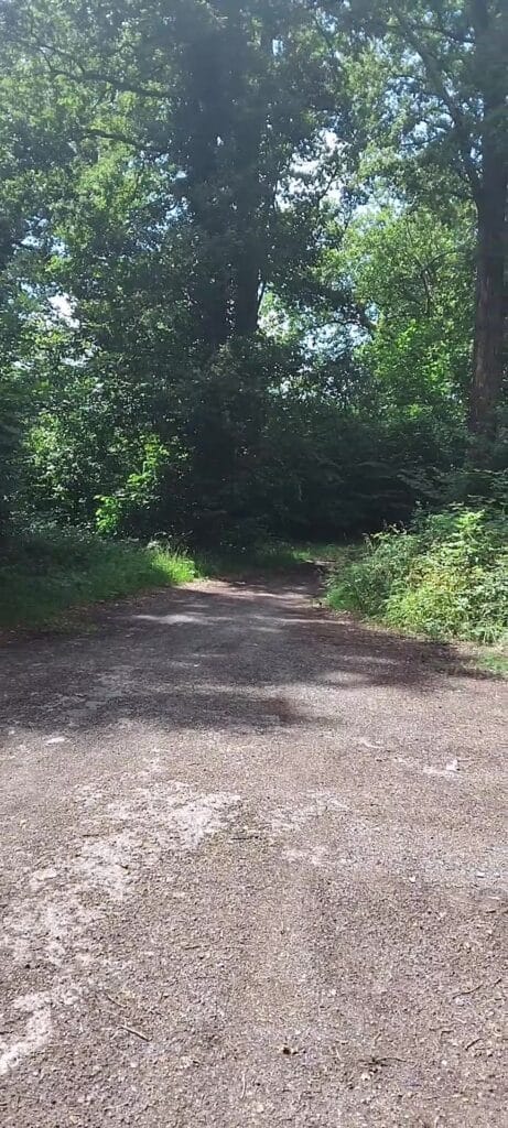 toujours des dépôts sauvages ! alors qui existe des déchetteries, mais toujours