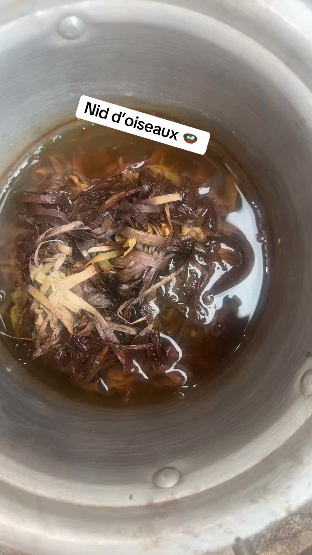 , nids de poules; Nid d’oiseaux et ces avantage