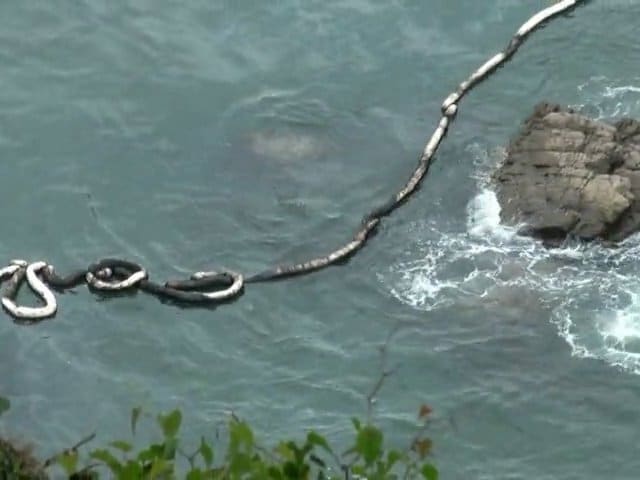 San Antonio Camo à Canda