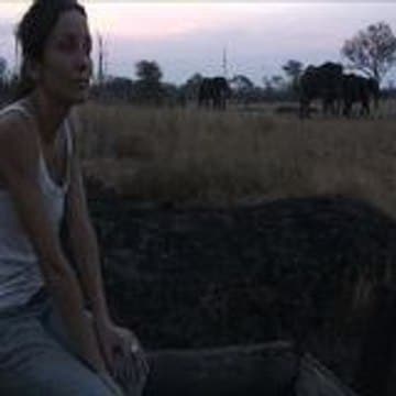 Profil dailymotion de l’utilisateur Perrine Crosmary