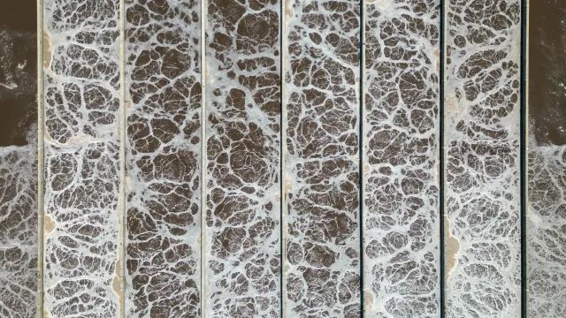 Pinterest Scale of illegal sewage spills in dry weather likely to be worse than reported, warn campaigners