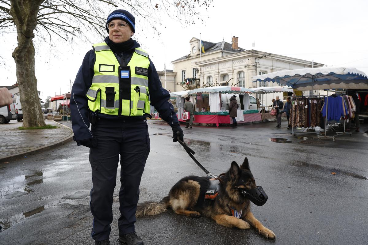 Karine fait le tour du marché avec son chien.
