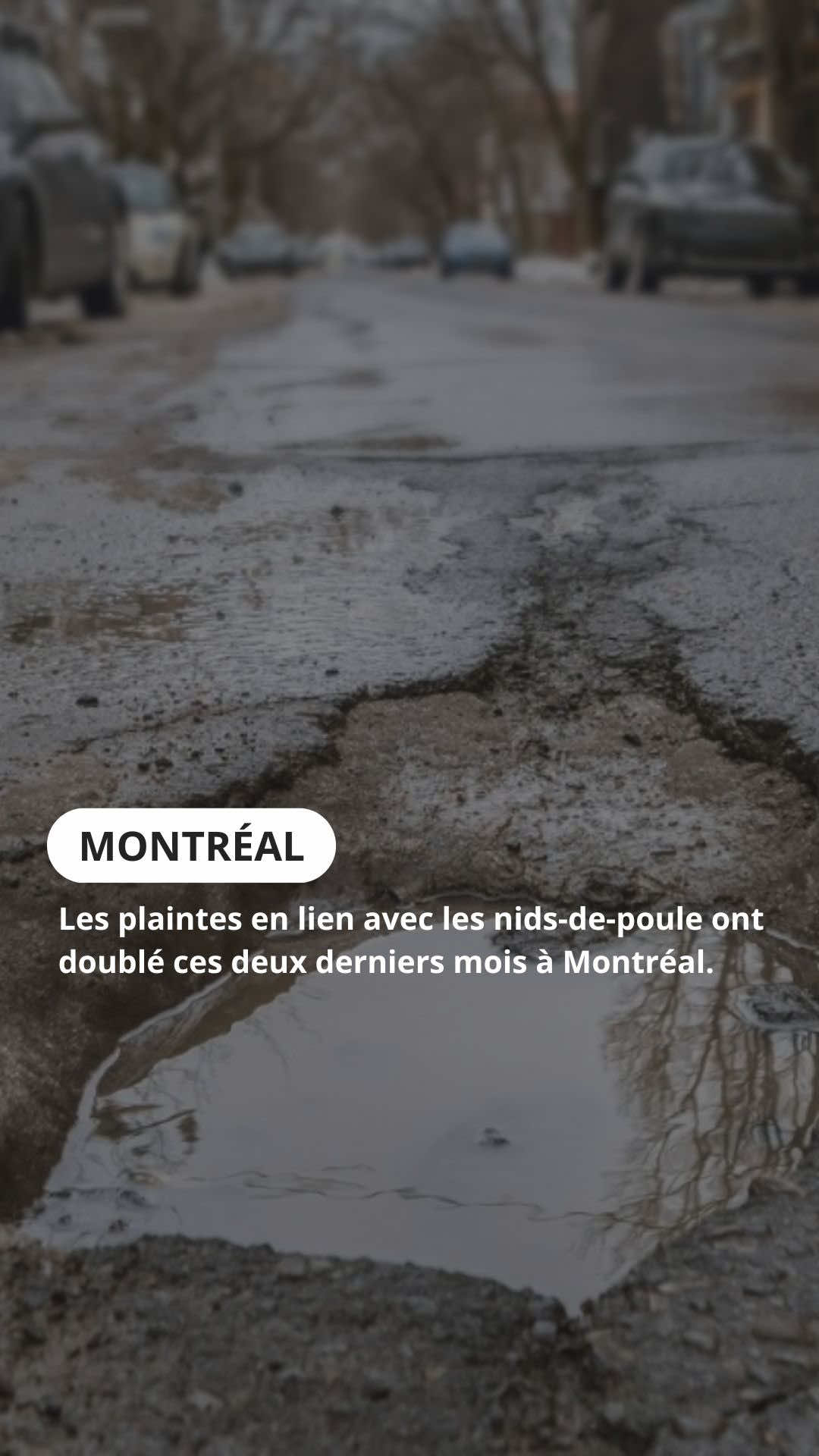 , nid-de-poule,Les automobilistes montréalais doivent composer avec un nombre appréciable de n sur Tiktok