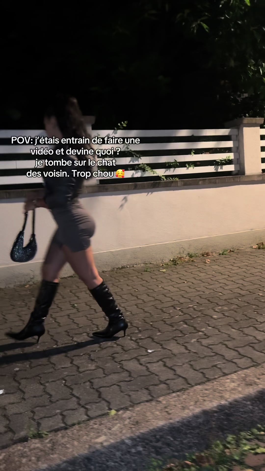 , nid de; Qui aime les chats aussi ?