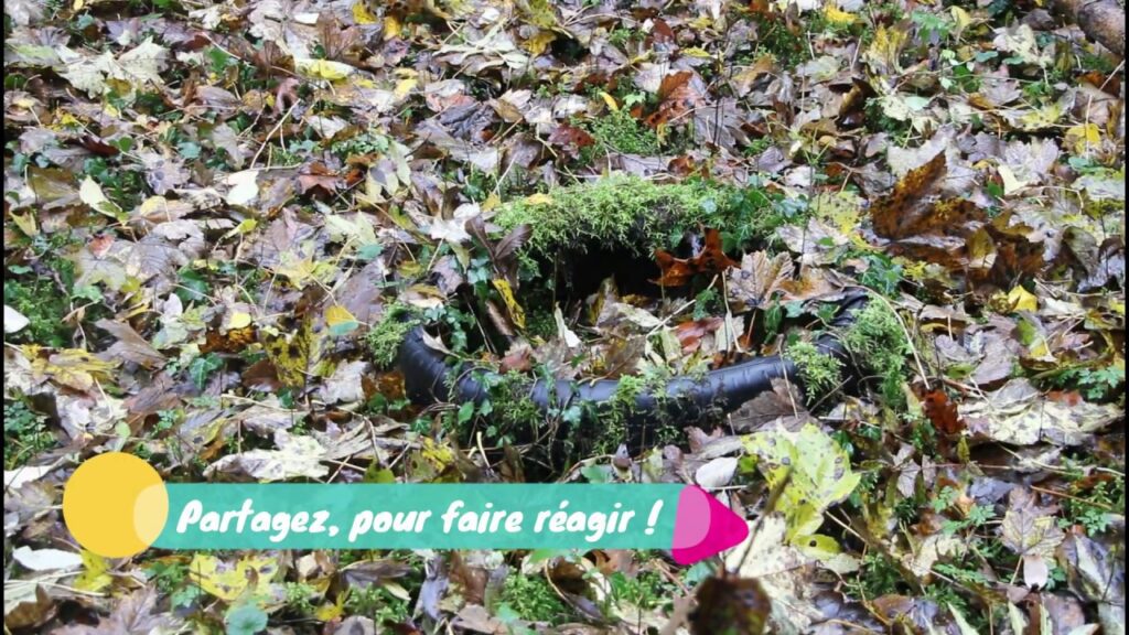 Décharge sauvage Langres