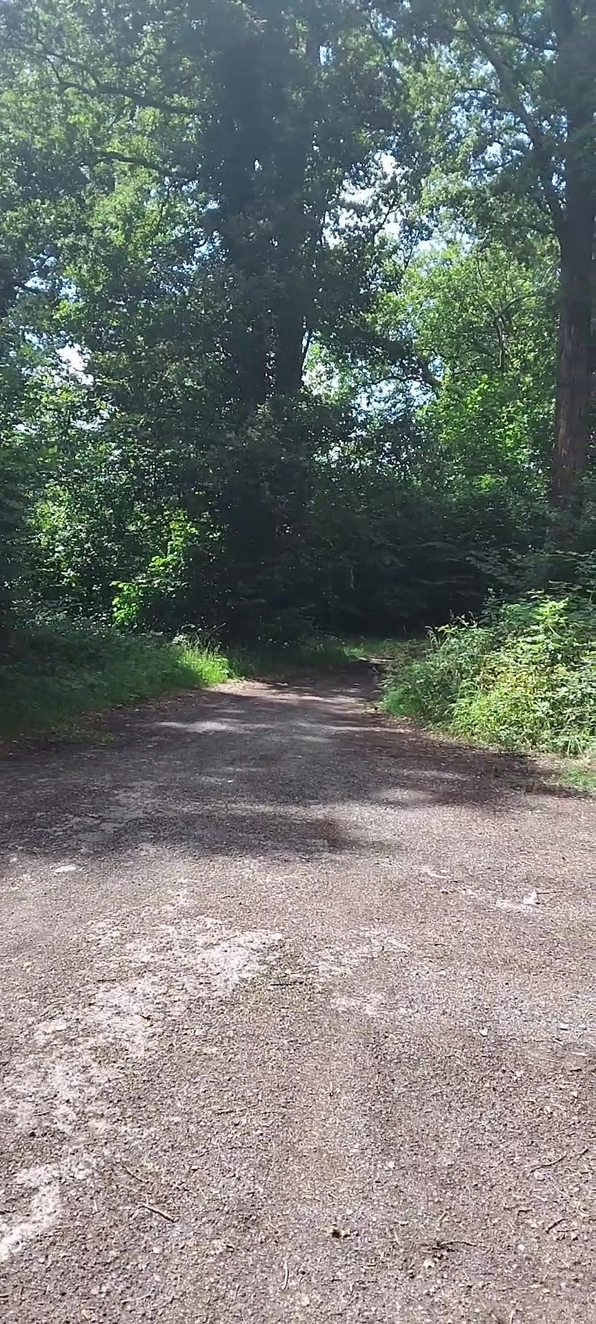 , dépôts sauvages,toujours des dépôts sauvages ! alors qui existe des déchetteries, mais toujours sur Tiktok