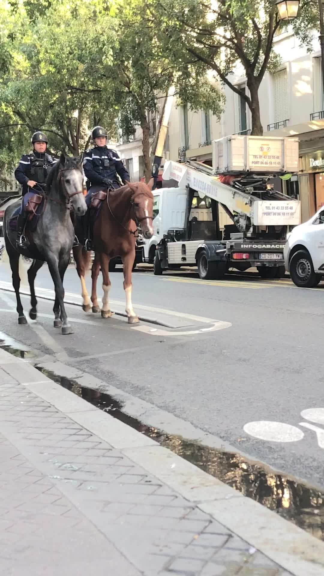 , Tiktok (police municipale): La gendarmerie à Paris. Des chevaux magnifiques, dont un n’avait pas vraiment envie