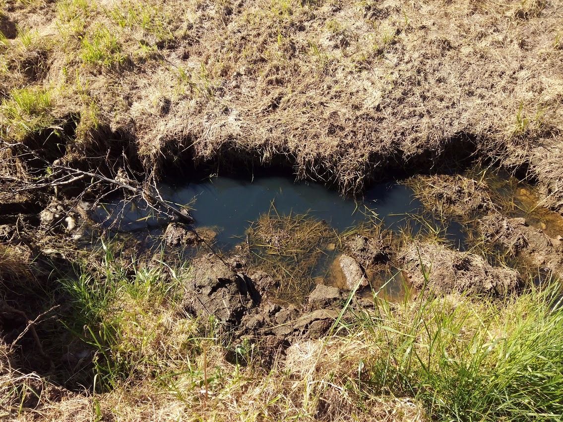 pinterest Connection | Scoop.it