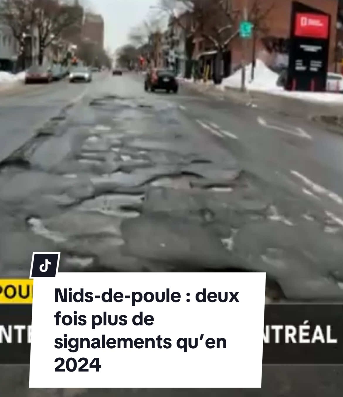 , nids-de-poules,Nids-de-poule : deux fois plus de signalements qu’en 2024 À Montréal, les nids sur Tiktok