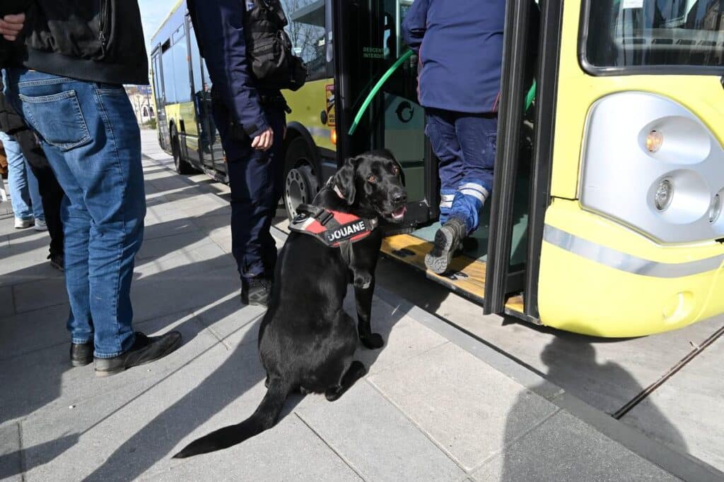 , un chien renifleur et des caméras-piétons pour les policiers municipaux