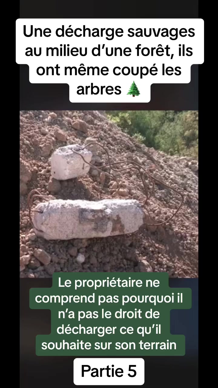 , décharge sauvage; Il ne comprend rien à la situation. Un propriétaire à acheter un grand terrain