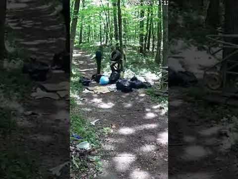 Image youtube