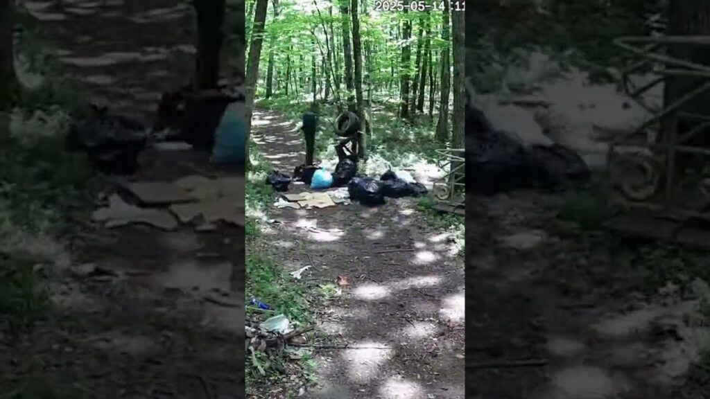 Illegal waste dumping #forest waste #forest cleanup #forest cleanup #illegal dumping