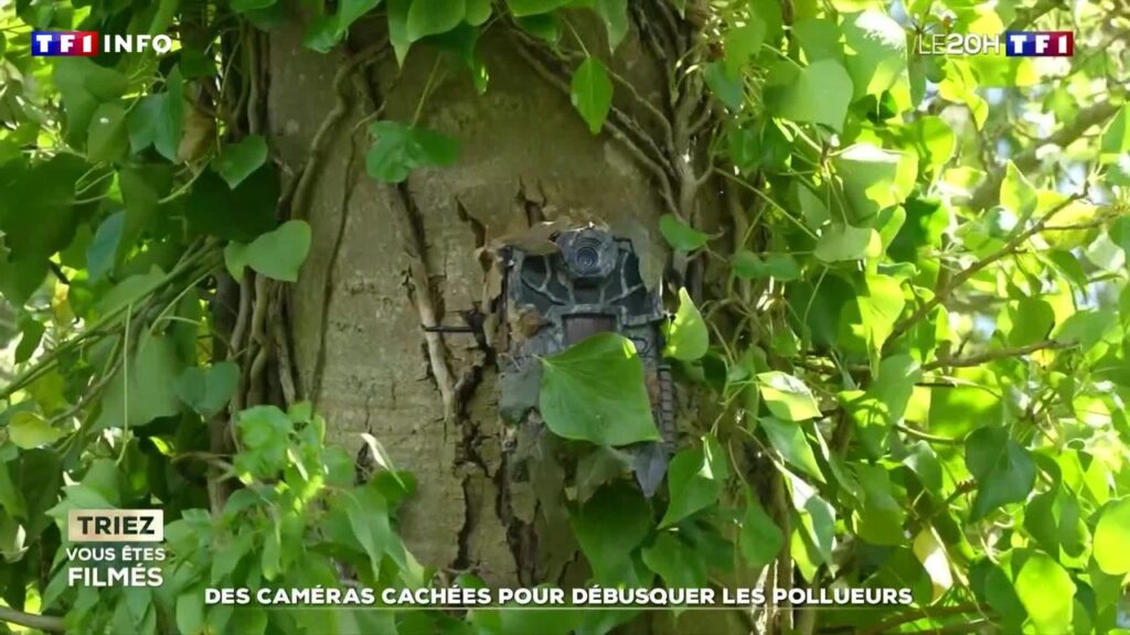 , Des caméras cachées pour débusquer les pollueurs