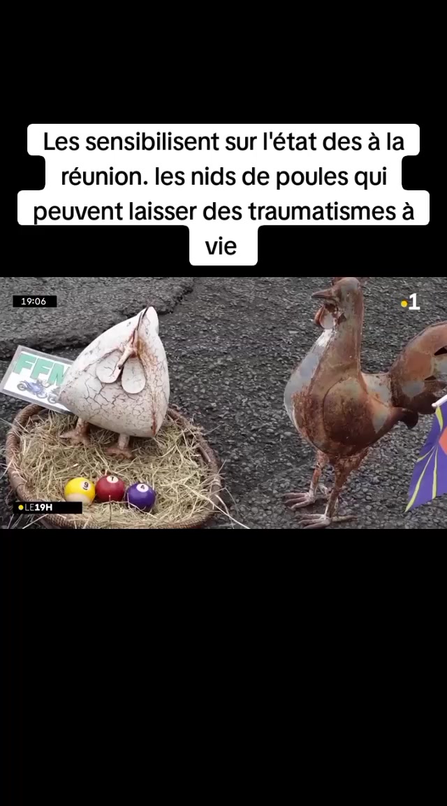, nids de poules,les nids de poules sur Tiktok