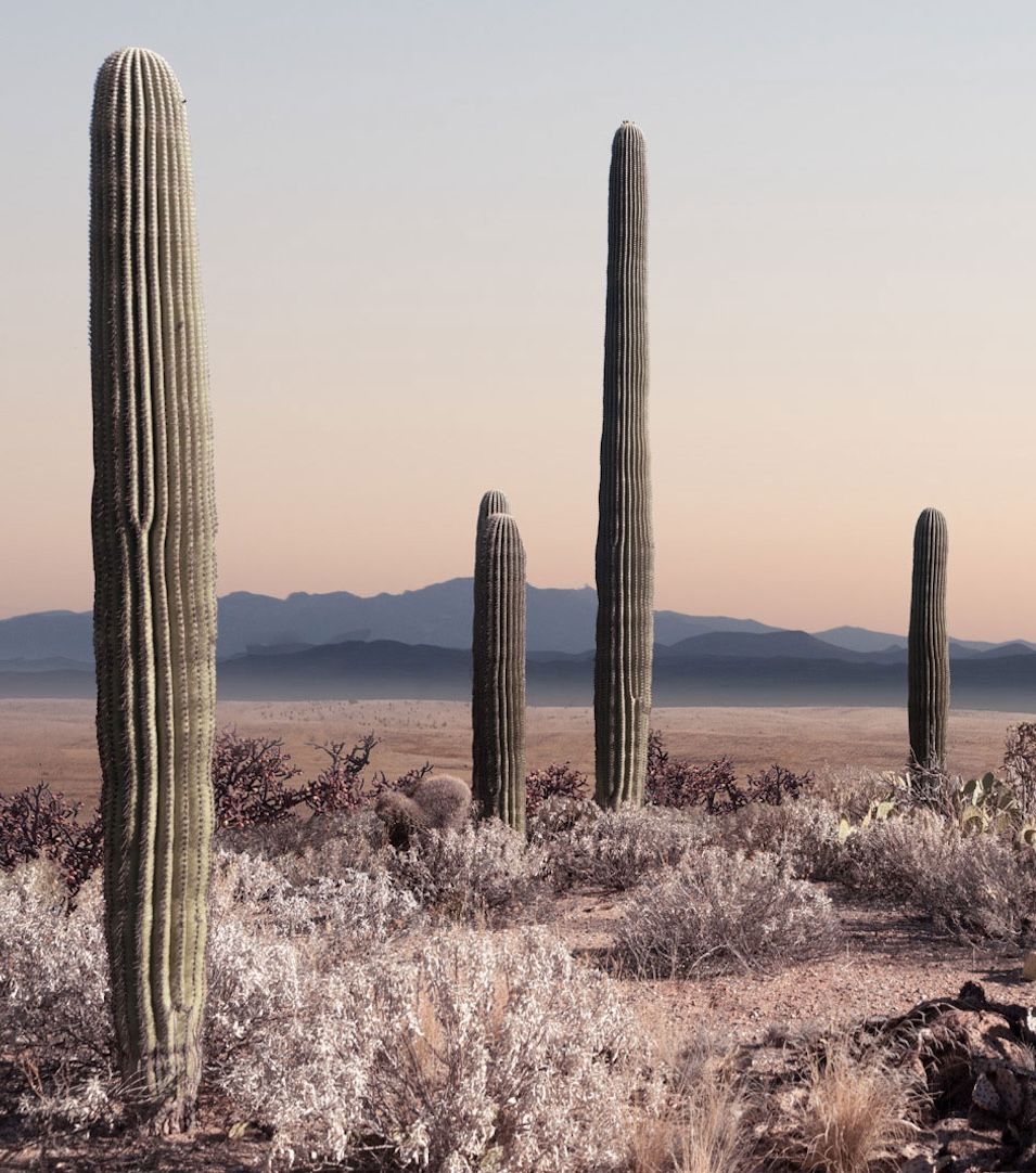 pinterest Solstice, une série photographique sur le désert américain - Journal du Design